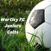 Wortley FC Juniors Colts