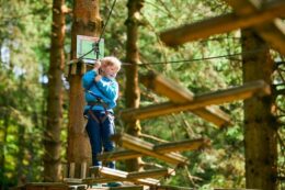 Go Ape