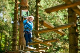 Go Ape Temple Newsam