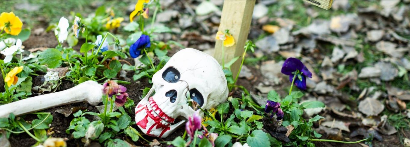 Halloween – Skeleton Trail & Skeleskare