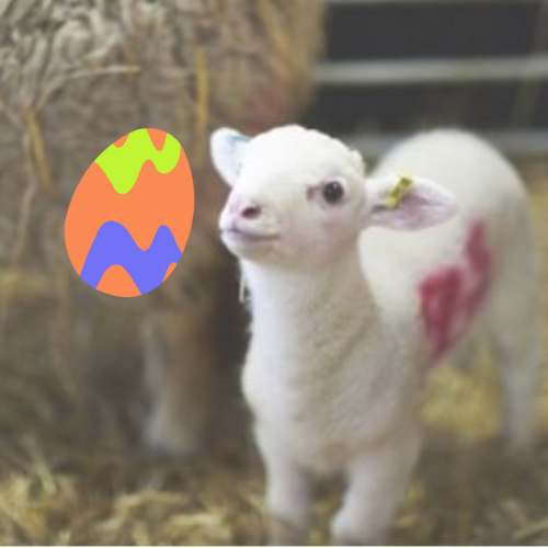 Temple Newsam House & Farm Breeze Leeds